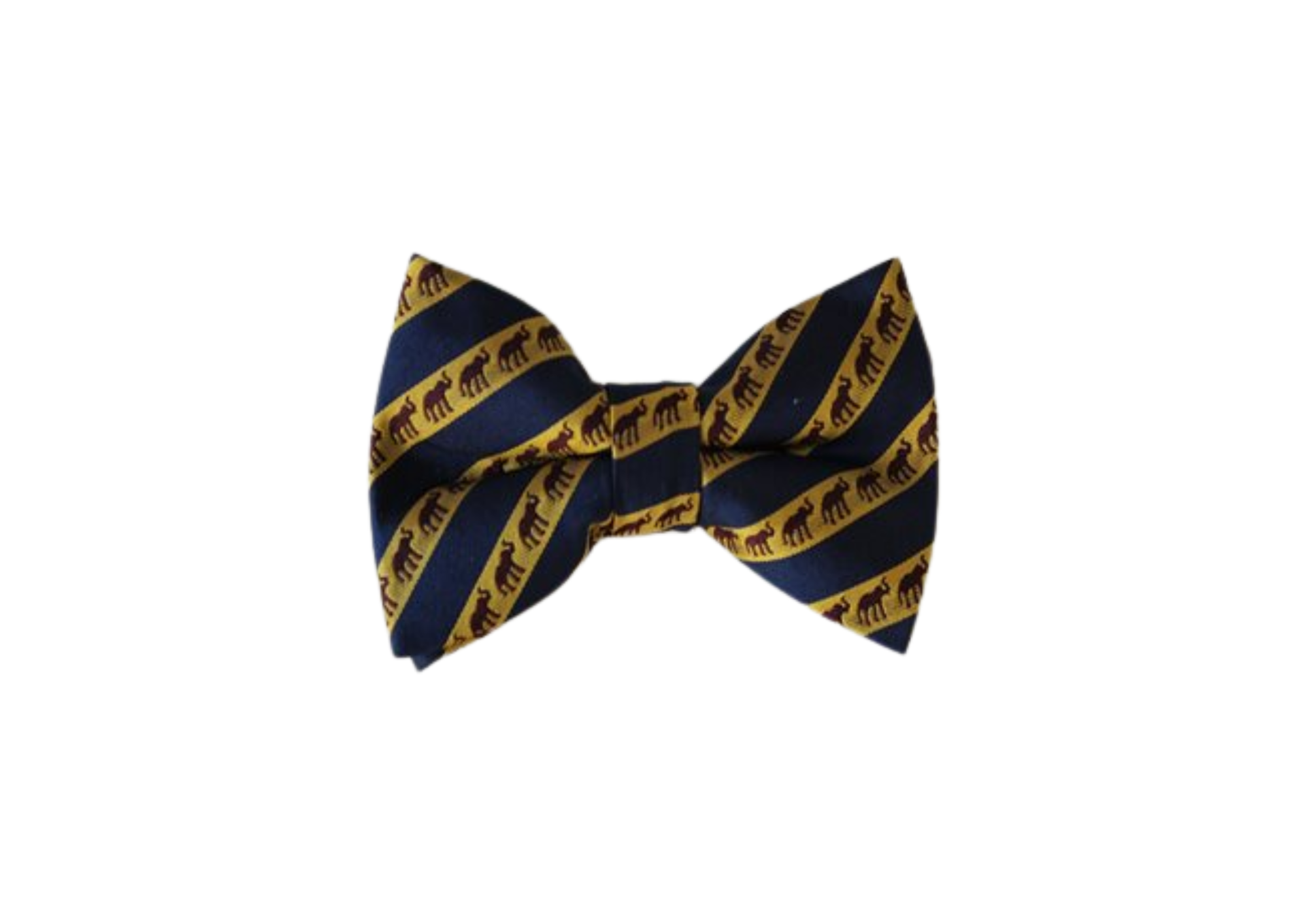 Blue & Gold Bowtie