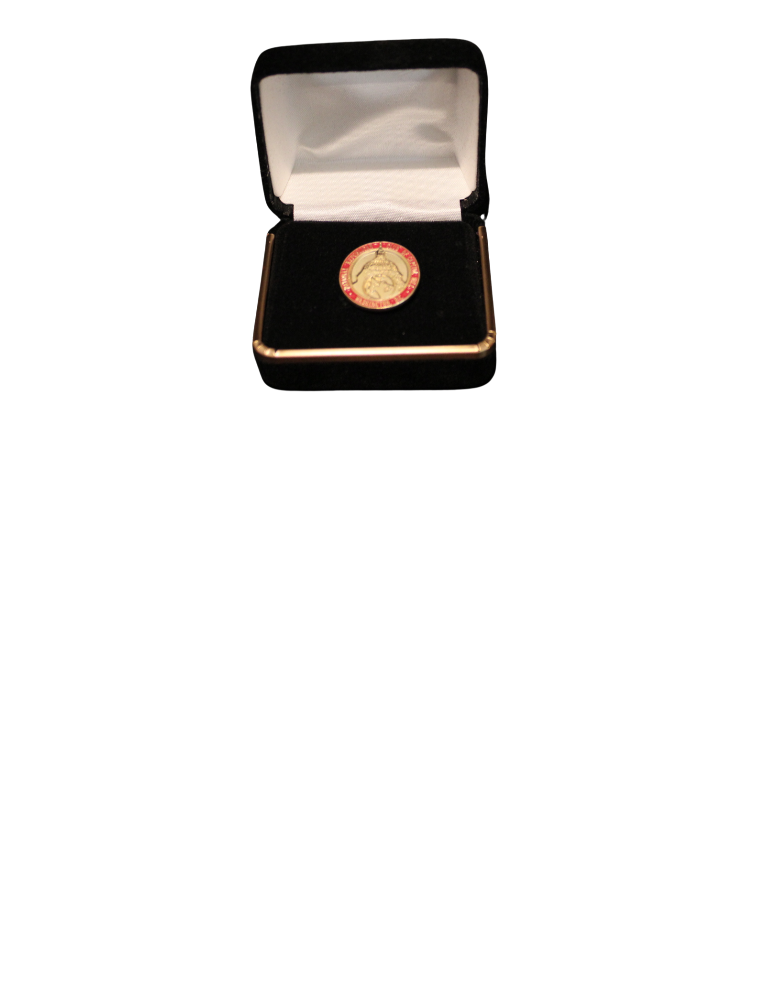 CHC Red & Gold Stick Pin 